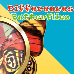 Differences Butterflies