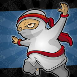 Flight Of The Ninja