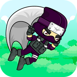 Flying Ninja