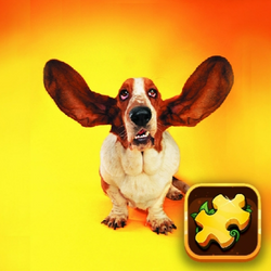 Funny Dogs Jigsaw Puzzles