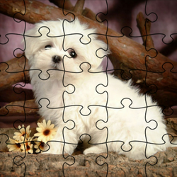 Jigsaw Puzzle: Doggies