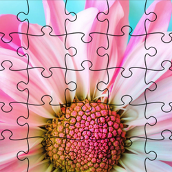 Jigsaw Puzzle: Flowers