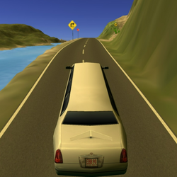 Limousine Driver