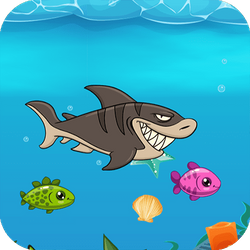 Pirate Fishing