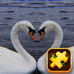 Swan Puzzle Challenge