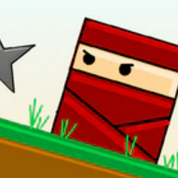 The Ninja