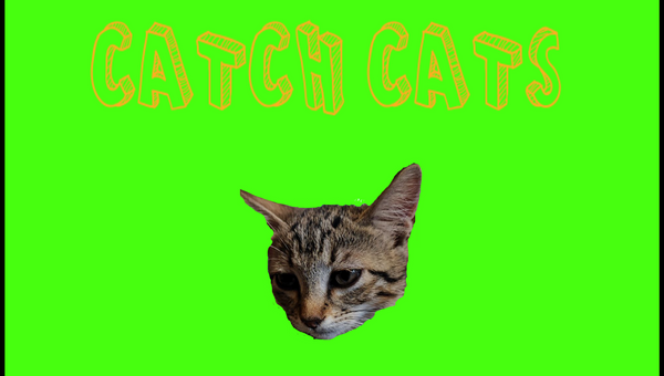 Catch Cats | 🕹️ Play Catch Cats Online On GamePix